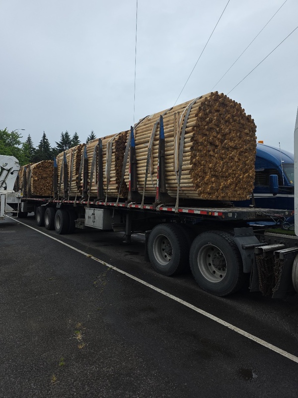 Woodburn Cargo transport